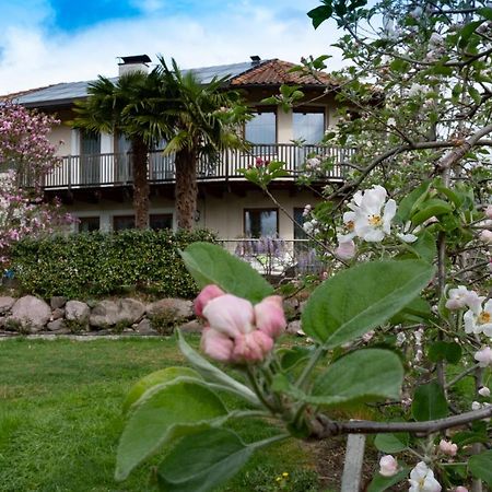 Ansitz Waldner Oberwirt Apartment Marlengo Luaran gambar