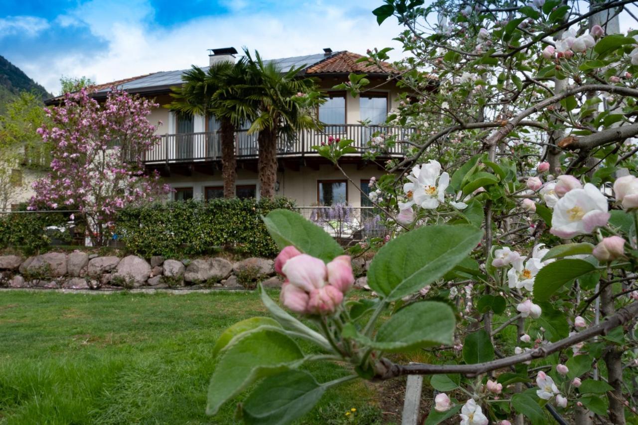 Ansitz Waldner Oberwirt Apartment Marlengo Luaran gambar